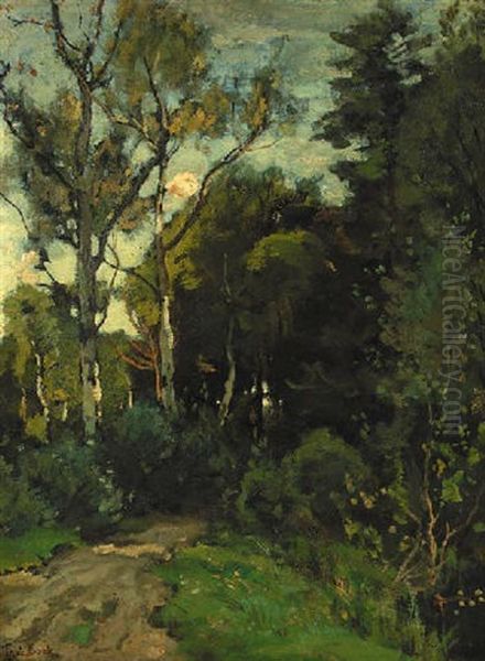 A Sunlit Birch Forest Oil Painting by Theophile De Bock