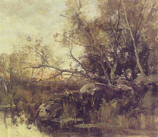 A Fen In The Woods Of Fontainebleau Oil Painting by Theophile De Bock