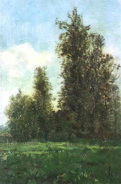 A Wooded Landscape Oil Painting by Theophile De Bock