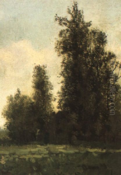 At The Edge Of The Forest Oil Painting by Theophile De Bock