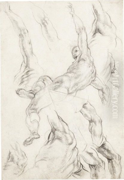 Studies Of A Seated Male Nude, And Of His Raised Left Arm Oil Painting by Giovanni Alberti