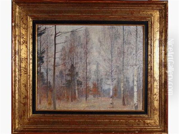 Bouleaux Au Bois De Salut A Jonchery Sur Vesle En Hiver Oil Painting by Paul Bocquet