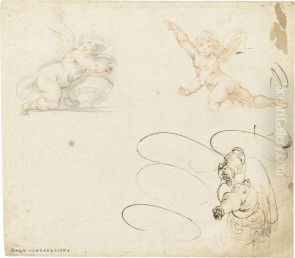 Sheet Of Studies Of Different Putti Oil Painting by Giovanni Alberti