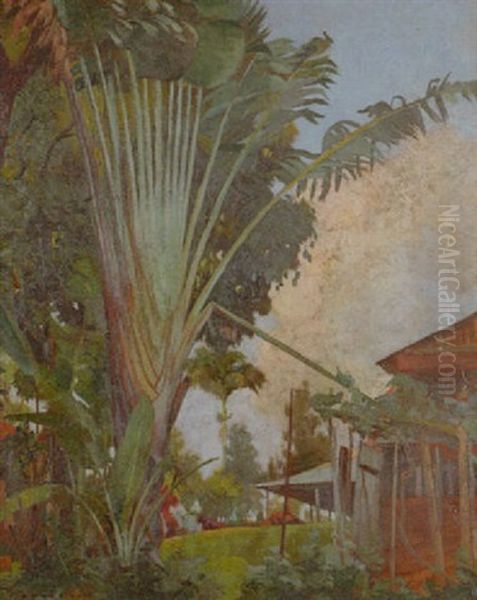 Paysage De La Martinique Oil Painting by Pierre Bodard