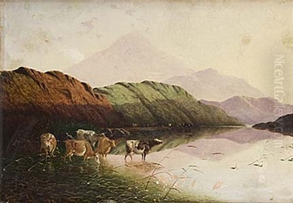 Kor Vid Vattenbryn Oil Painting by Henry John Boddington