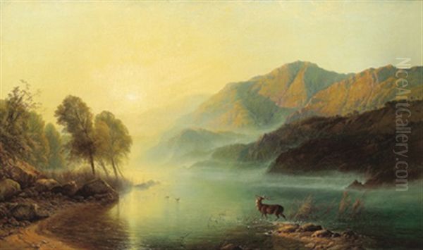 Hirsch Am Bergsee Oil Painting by Henry John Boddington