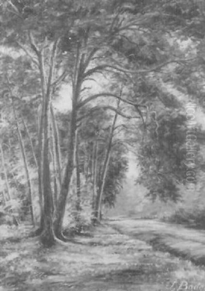 Kieferngruppe Am Schwanheimer Wald Oil Painting by Johannes Bode