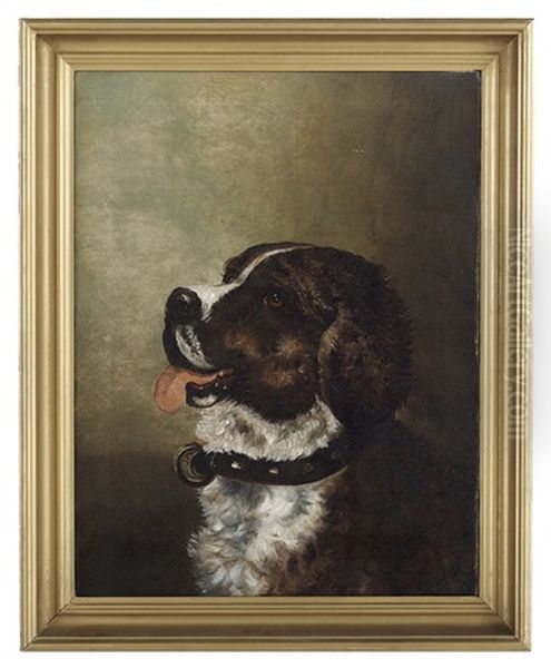 Portrait Of A Saint Bernard Oil Painting by Karl Bodmer