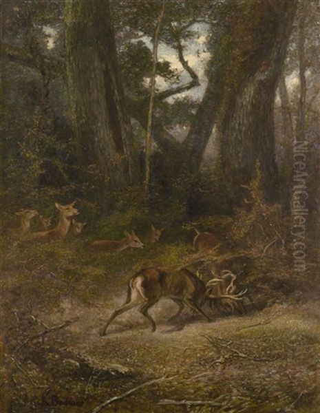 In Einer Waldlichtung Kampfende Hirsche Oil Painting by Karl Bodmer