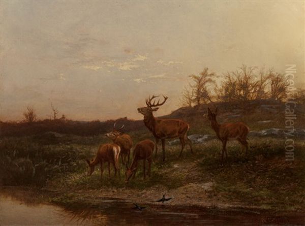 At The Watering Hole Oil Painting by Karl Bodmer