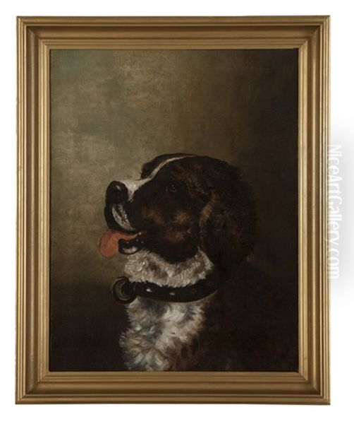 Portrait Of A Saint Bernard Oil Painting by Karl Bodmer