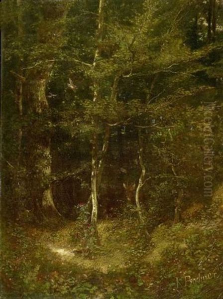 Chevreuil Dans Le Sous Bois Fleuri Oil Painting by Karl Bodmer