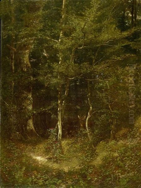 Waldlandschaft Mit Reh Hinter Einem Baum by Karl Bodmer