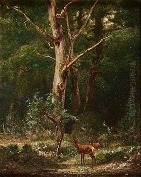 Biches En Foret Oil Painting by Karl Bodmer