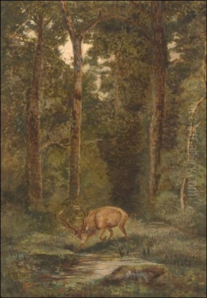 Stag In The Forest Oil Painting by Karl Bodmer