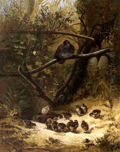 Rebhuhner Mit Kuken Oil Painting by Karl Bodmer