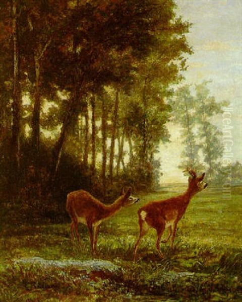 Doe And Buck In Woodland by Karl Bodmer