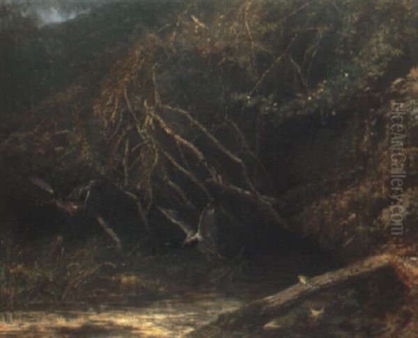 Wald Mit Enten Und Froschen Oil Painting by Karl Bodmer