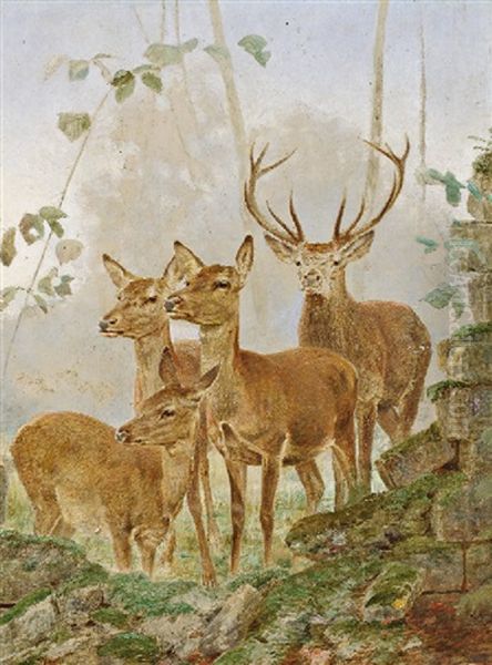 Cerf Et Biches Pres Du Mur En Ruine Oil Painting by Rudolf Bodmer