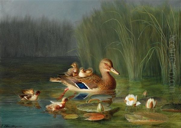 Villender (a Wild Duck With Its Ducklings) Oil Painting by Frants Diderik Boe