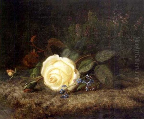 Stilleben Med Rose Oil Painting by Frants Diderik Boe