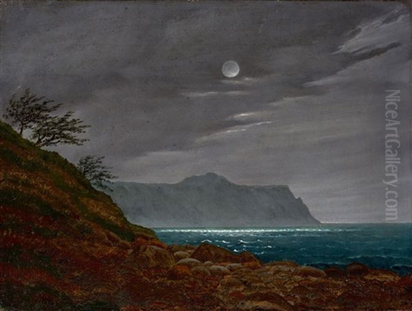 Moonlit Night On The Island Of Rugen Oil Painting by Johann Friedrich Boeck