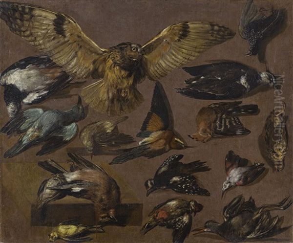 Studies Of An Owl And Other Birds Oil Painting by Pieter Boel