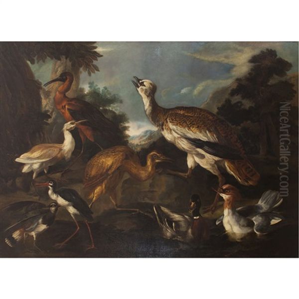 Study Of Wild Fowl by Pieter Boel