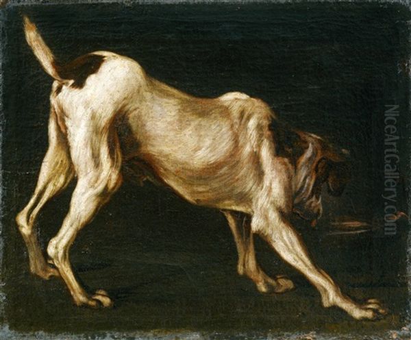 Bildnis Eines Hundes by Pieter Boel