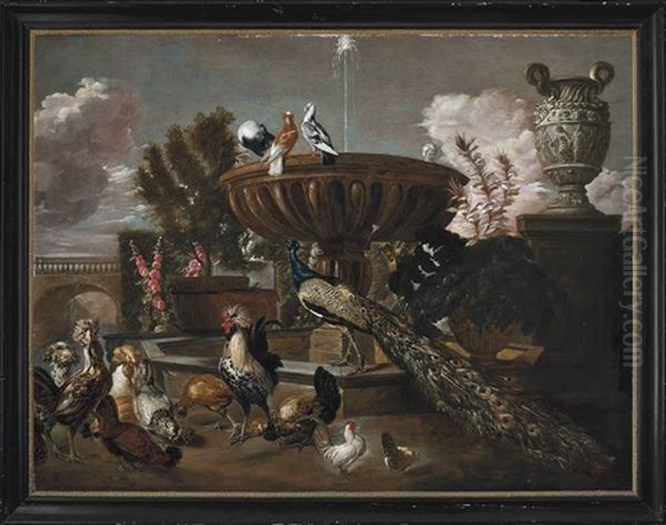 A Peacock, Cockerels, Hens, Turtle Doves And Other Birds By A Fountain In An Ornamental Garden Oil Painting by Pieter Boel