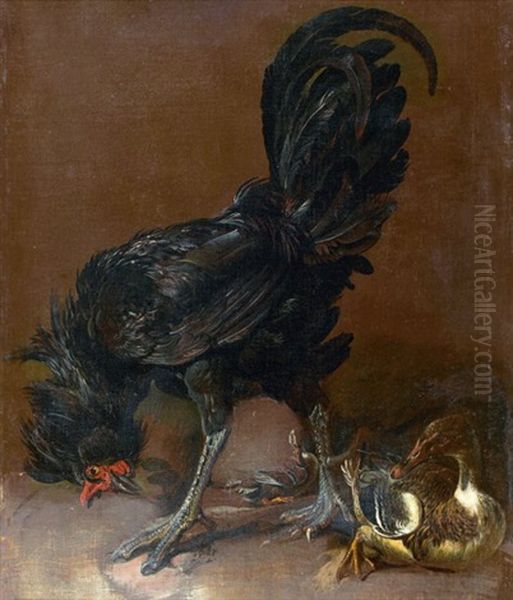 Coq Noir Et Deux Canards Oil Painting by Pieter Boel