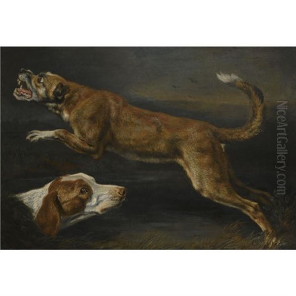 Two Dogs, A Pointer And A Hound (study) Oil Painting by Pieter Boel