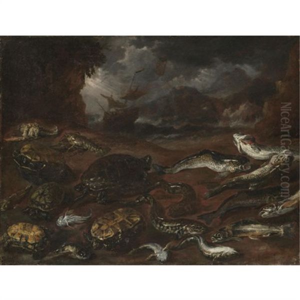 A Still Life Of Turtles, An Eel, Pike, Lobsters And Other Fish On The Shore, A Ship In Stormy Seas Beyond Oil Painting by Pieter Boel