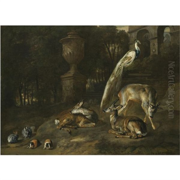 Rabbits, Guinea-pigs, Roe-deers And A Peacock In An Ornamental Garden Oil Painting by Pieter Boel