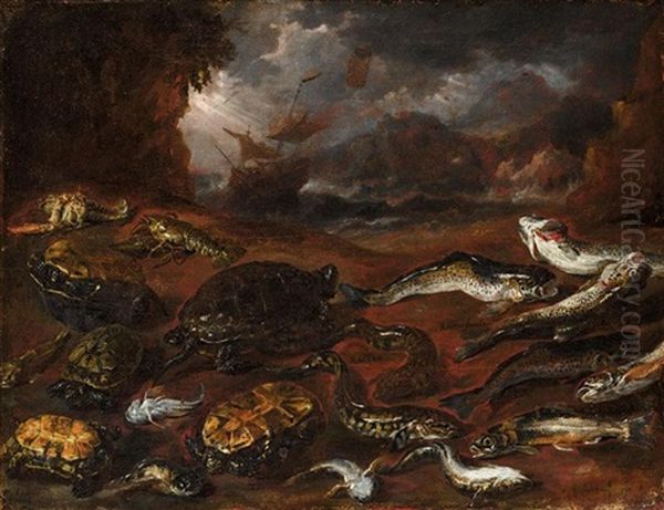 A Still Life Of Fish, Tortoises And Lobster On A Beach, A Stormy Sea Beyond Oil Painting by Pieter Boel