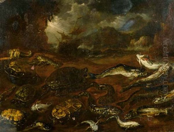 Studie Von Fischen Und Schildkroten An Einem Strand Oil Painting by Pieter Boel