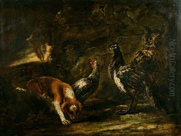 Huhner, Eine Eule Und Ein Hund In Einer Landschaft Oil Painting by Pieter Boel