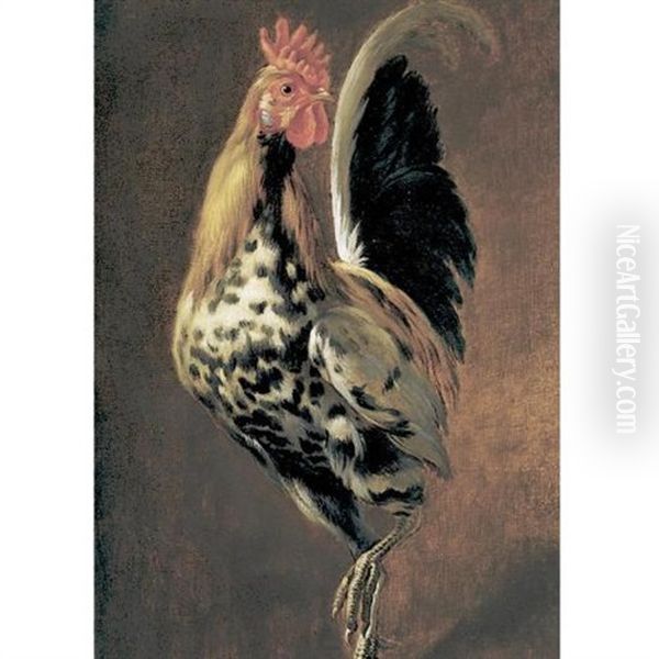 A Rooster Oil Painting by Pieter Boel