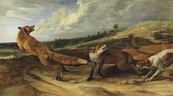 A Spaniel Attacking A Vixen And Dog Fox In An Open Landscape Oil Painting by Pieter Boel