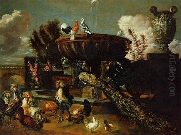 A Peacock, Cockerels, Hens, Turtle Doves And Other Birds By A Fountain In An Ornamental Garden Oil Painting by Pieter Boel