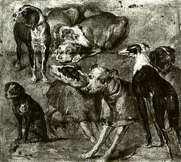 Studies Of Dogs Oil Painting by Pieter Boel