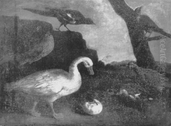 A Duck And Other Birds In A Landscape Oil Painting by Pieter Boel