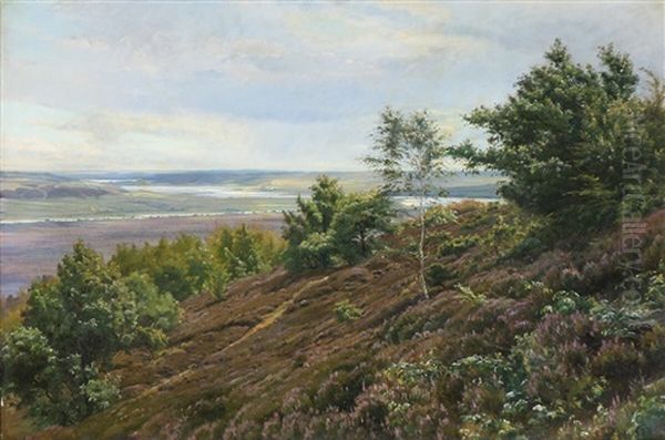 Rolling Countryside, Presumably From The Silkeborg Lakes Oil Painting by Johannes Boesen