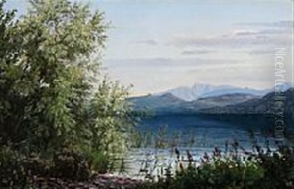 Landscape From Worthersee In Austria Oil Painting by Johannes Boesen