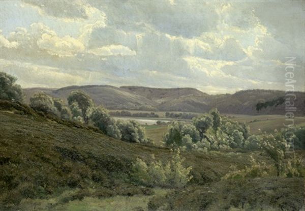 Landschaft Bei Sveibaek Auf Mitteljudland An Einem Klaren Und Windigen Sommertag Oil Painting by Johannes Boesen