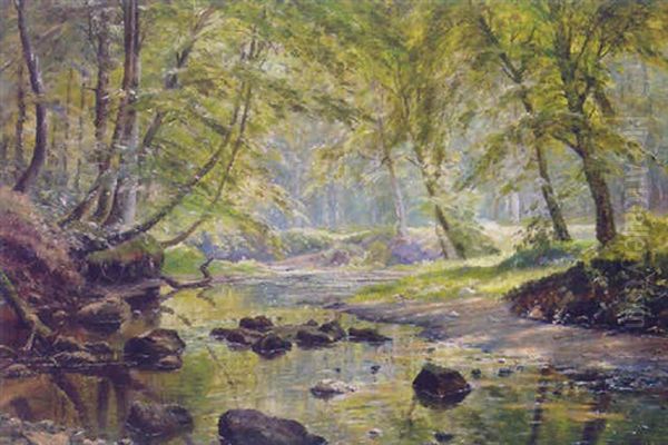 A Sunlit River In A Woodland Glade Oil Painting by Johannes Boesen