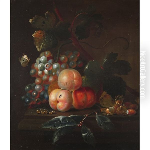 Still Life Of Peaches, Cob Nuts, Currants Grapes, A Butterfly And Insect On A Shelf Oil Painting by Jakob Bogdani