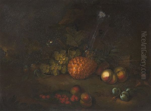 Natura Morta Con Frutta E Pigna Oil Painting by Jakob Bogdani