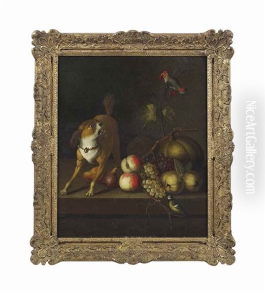 A Dog, A Blue Tit And A Parakeet With Grapes, Peaches, Pears And Pumpkins On A Ledge Oil Painting by Jakob Bogdani