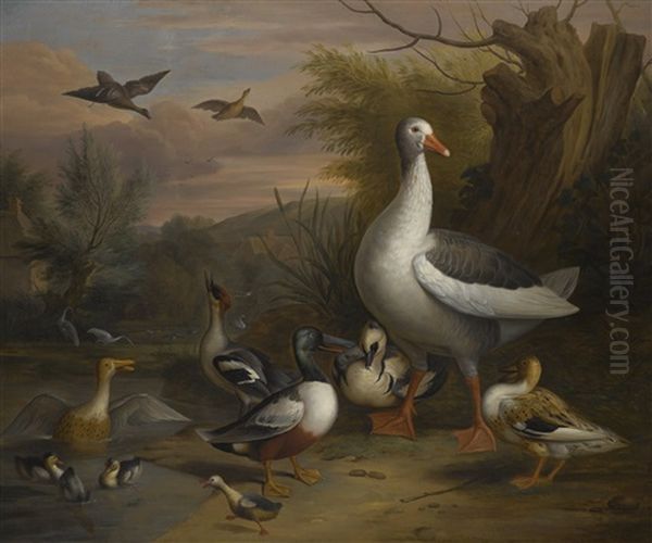 A Goose, Eider, Grebe And Other Fowl Beside A Pond Oil Painting by Jakob Bogdani